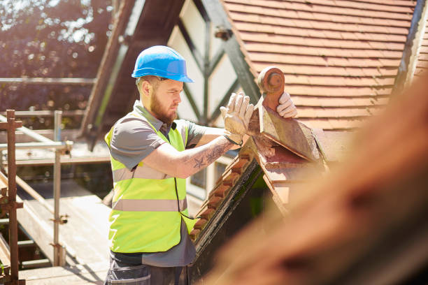 Roof Gutter Cleaning in Canby, OR